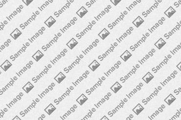 Grow your newsletter subscriber base with the powerful Newsletter particle.